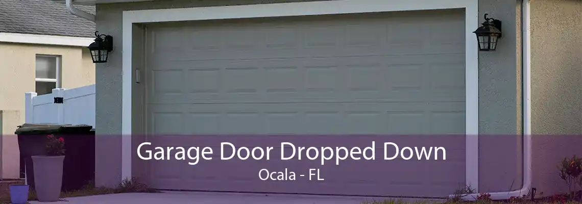 Garage Door Dropped Down Ocala - FL