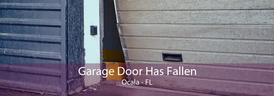 Garage Door Has Fallen Ocala - FL