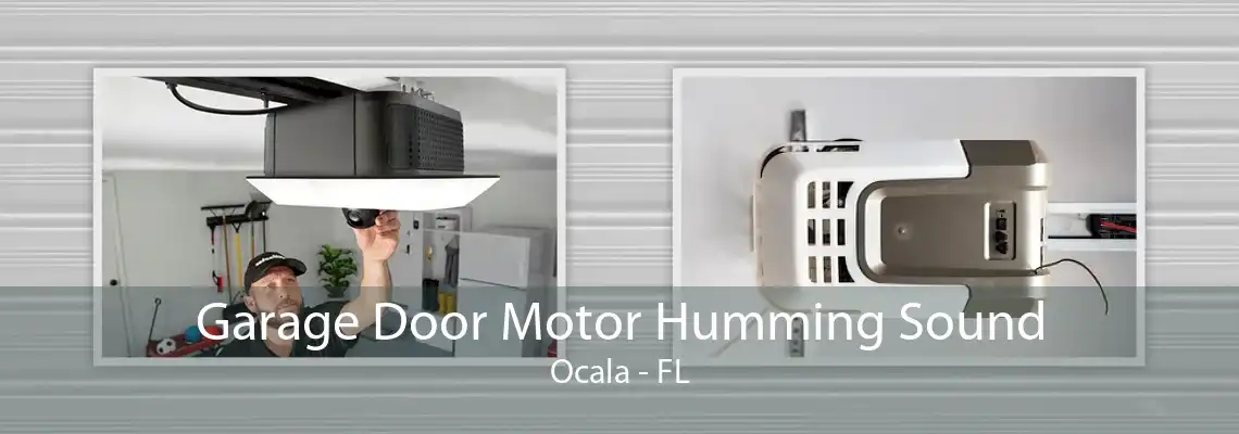 Garage Door Motor Humming Sound Ocala - FL