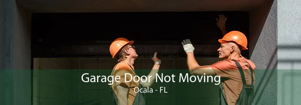 Garage Door Not Moving Ocala - FL