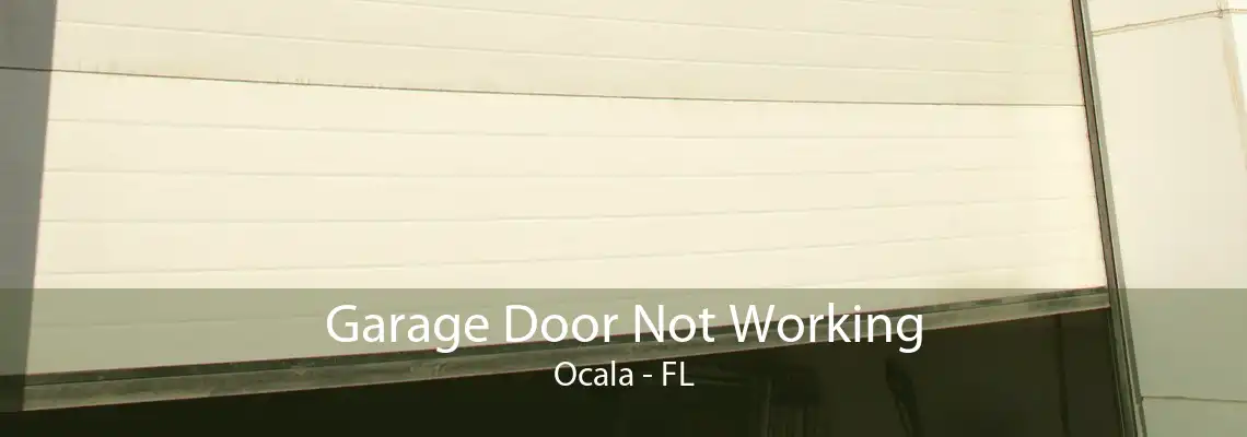 Garage Door Not Working Ocala - FL