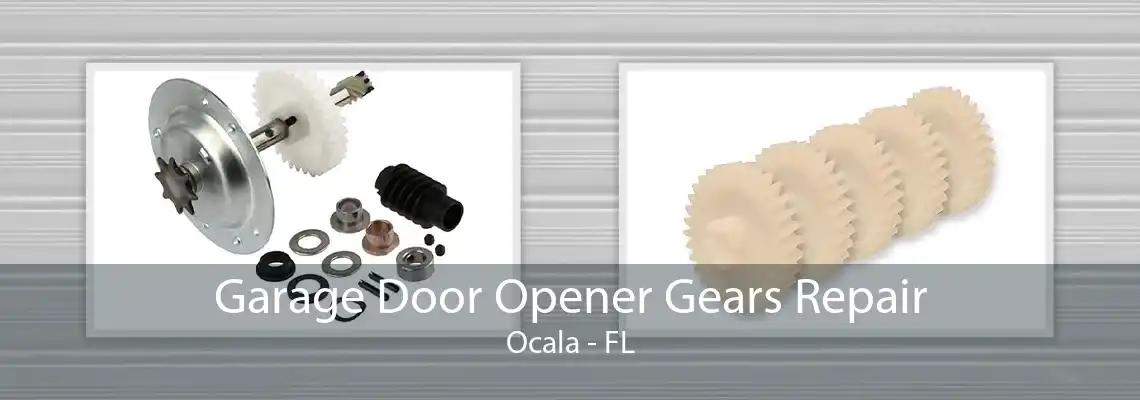 Garage Door Opener Gears Repair Ocala - FL