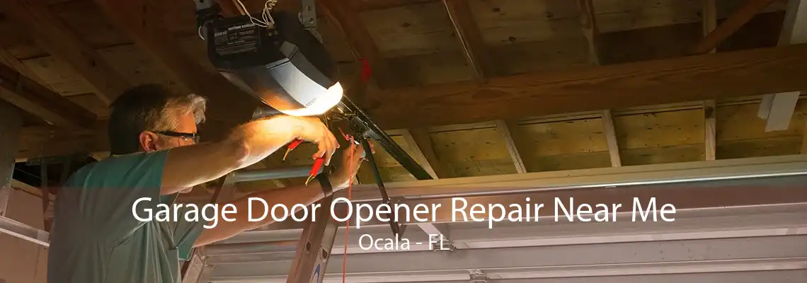 Garage Door Opener Repair Near Me Ocala - FL