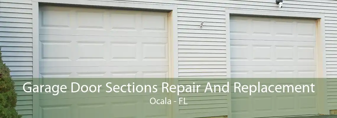 Garage Door Sections Repair And Replacement Ocala - FL