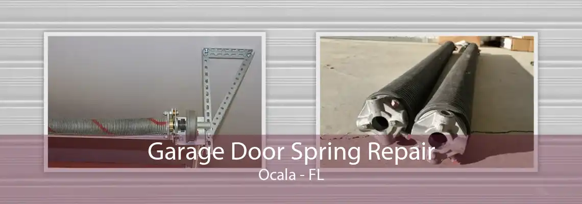 Garage Door Spring Repair Ocala - FL