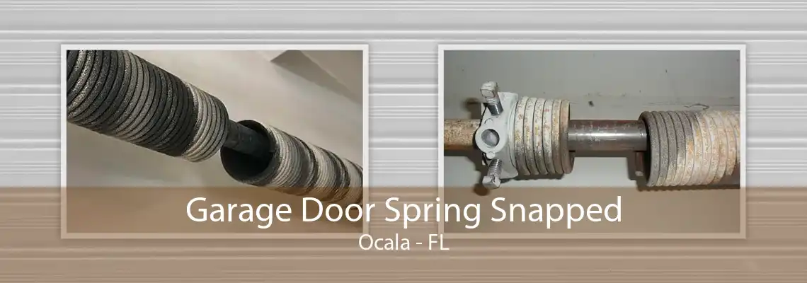 Garage Door Spring Snapped Ocala - FL