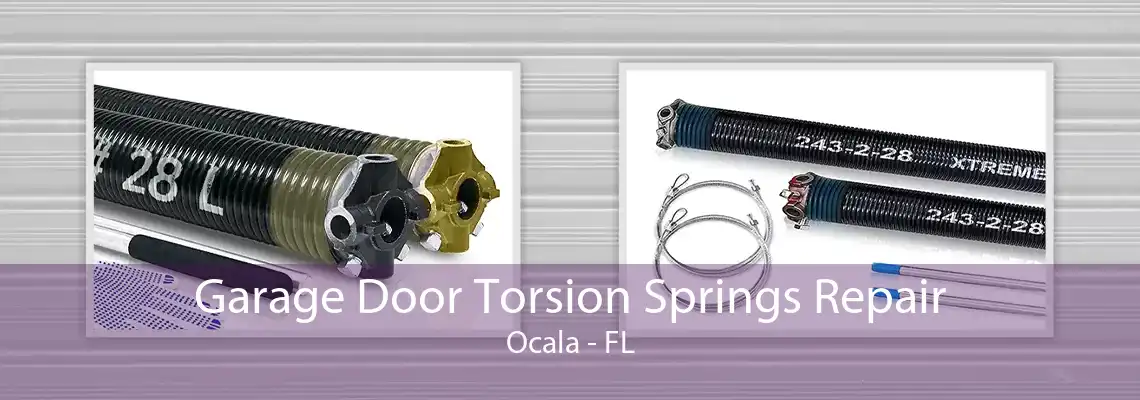 Garage Door Torsion Springs Repair Ocala - FL