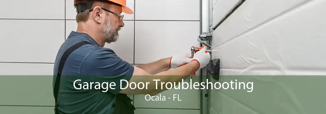 Garage Door Troubleshooting Ocala - FL