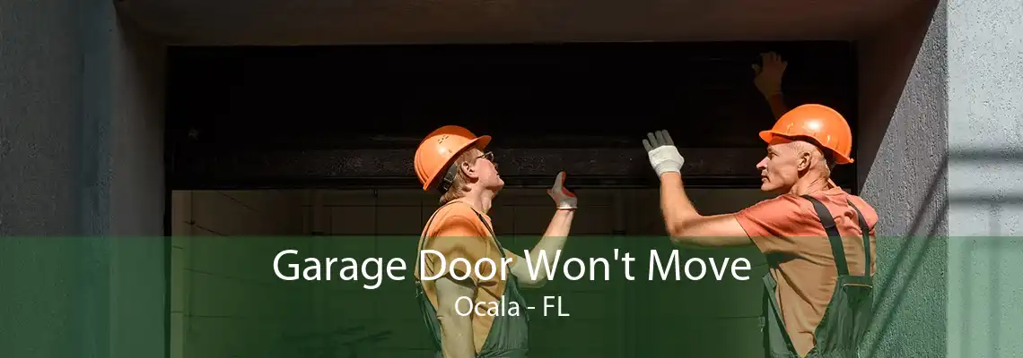 Garage Door Won't Move Ocala - FL