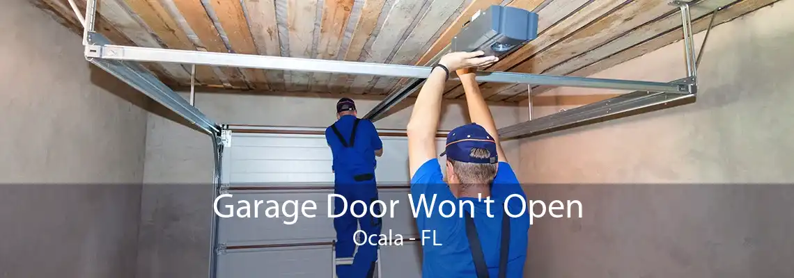 Garage Door Won't Open Ocala - FL