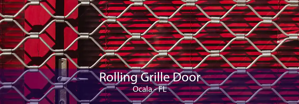 Rolling Grille Door Ocala - FL